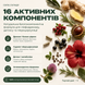 Лімфодренажний рослинний комплекс - LYM DRAIN&DETOX Choice 6490415 фото 4