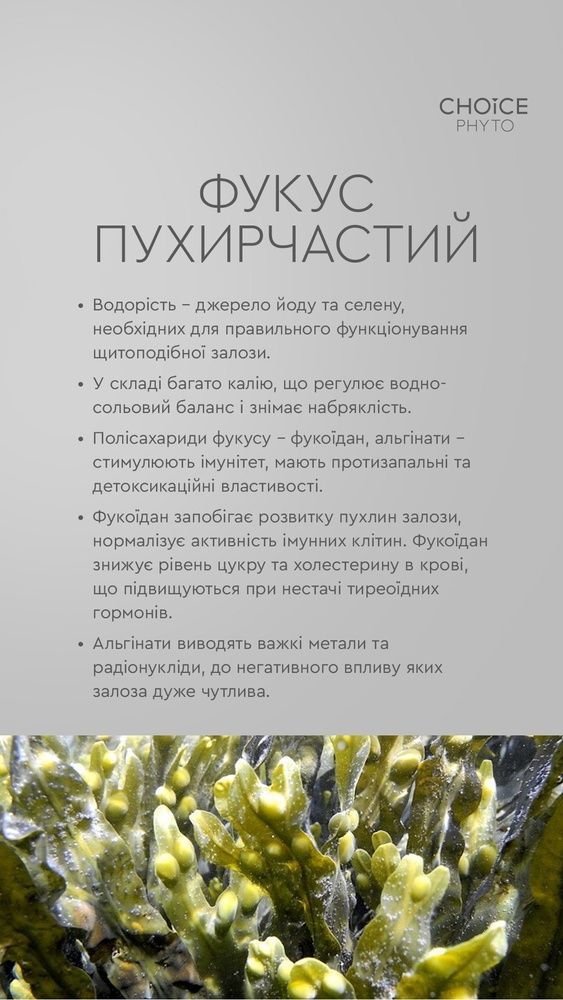 Здоров'я щитоподібної залози Гармонія 6490371 фото